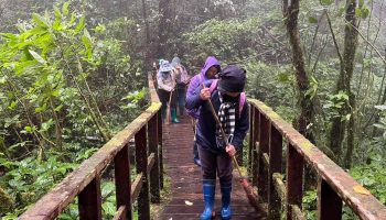 В Таиланде начинается 4-месячная зима