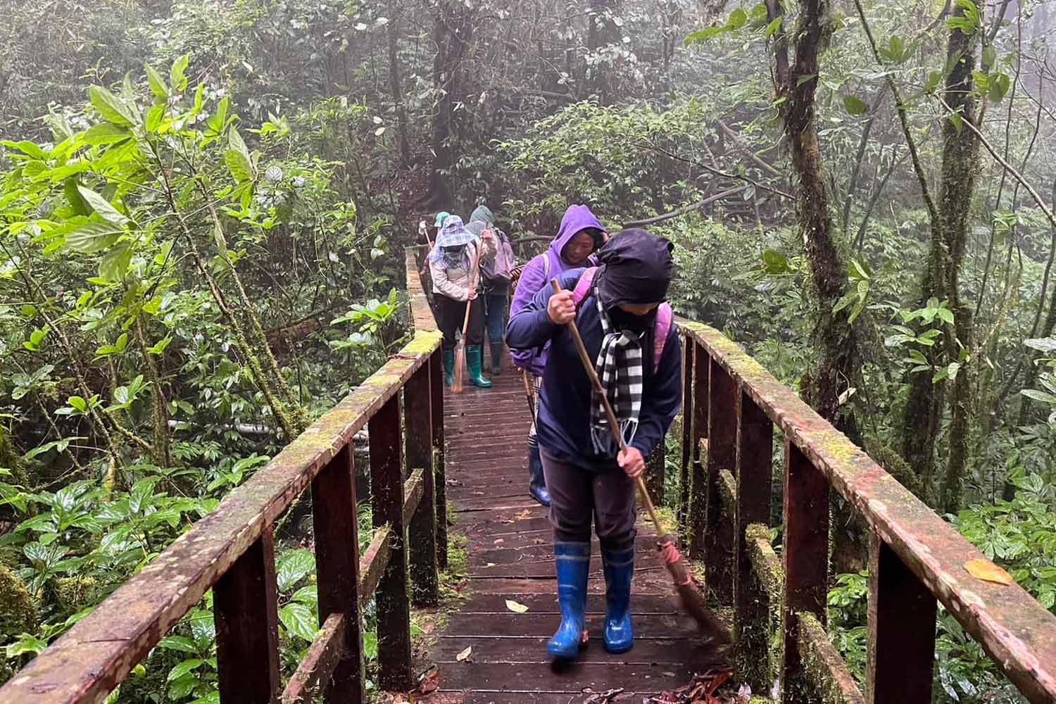 В Таиланде начинается 4-месячная зима