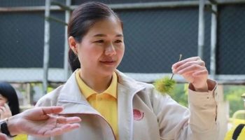 День рождения тайского короля стал началом 10 королевских проектов, которые преобразят Бангкок