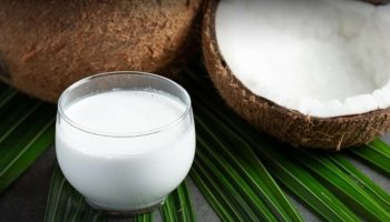 Засуха и вредители в Таиланде снижают урожайность кокосовых орехов, цены стремительно растут