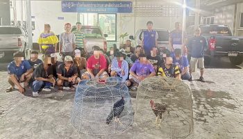 Игра с птицами: полицейские Ратчабури поднимают шумиху во время рейда на незаконные петушиные бои