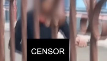 Извращенец пугает местных жителей, мастурбируя на публике в течение 2 часов