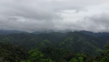 Погода в Таиланде: На севере прохладнее, в центральных и южных регионах идут дожди.