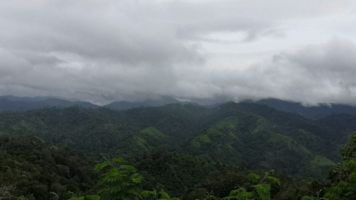 Погода в Таиланде: На севере прохладнее, в центральных и южных регионах идут дожди.