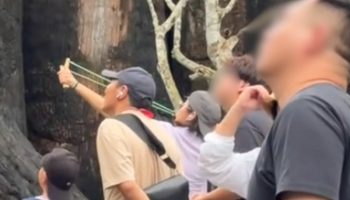 Пользователи сети наблюдают за выходками иностранки, стреляющей из рогатки в зоопарке Чонбури