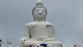 Президенту фонда предъявлено обвинение в посягательстве на леса на месте оползня на Пхукете