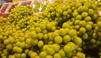 Продажи соков падают на фоне опасений по поводу винограда сорта Шайн Мускат