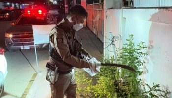 Работница фабрики Самут Пракан пострадала в поножовщине после выпивки