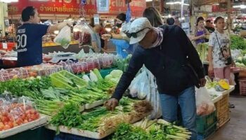 Салат-латук "молись": покупатели на рынке столкнулись с резкими ценами в преддверии вегетарианского фестиваля в Паттайе