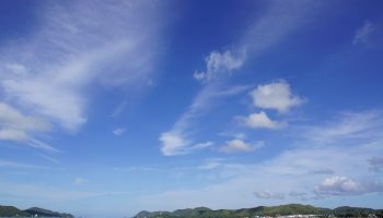 Смерть на тренировке вызвала расследование Сената