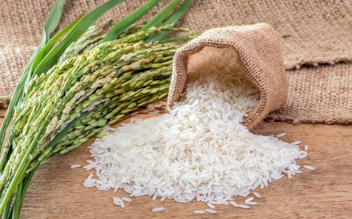 Таиланд лидирует в Юго-Восточной Азии по экспорту сельскохозяйственной продукции, занимая 8-е место в мире