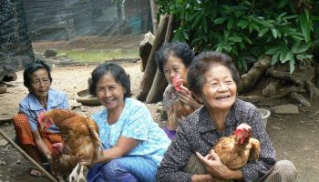 Таиланд сохранил за собой 10-е место в рейтинге Asia Power Index 2024