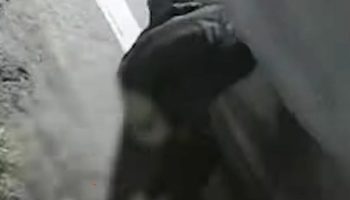 Тайская женщина оскорбила мужчину после того, как он испражнился возле ее дома (видео)