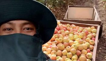 Тело тайского рабочего возвращают из Израиля