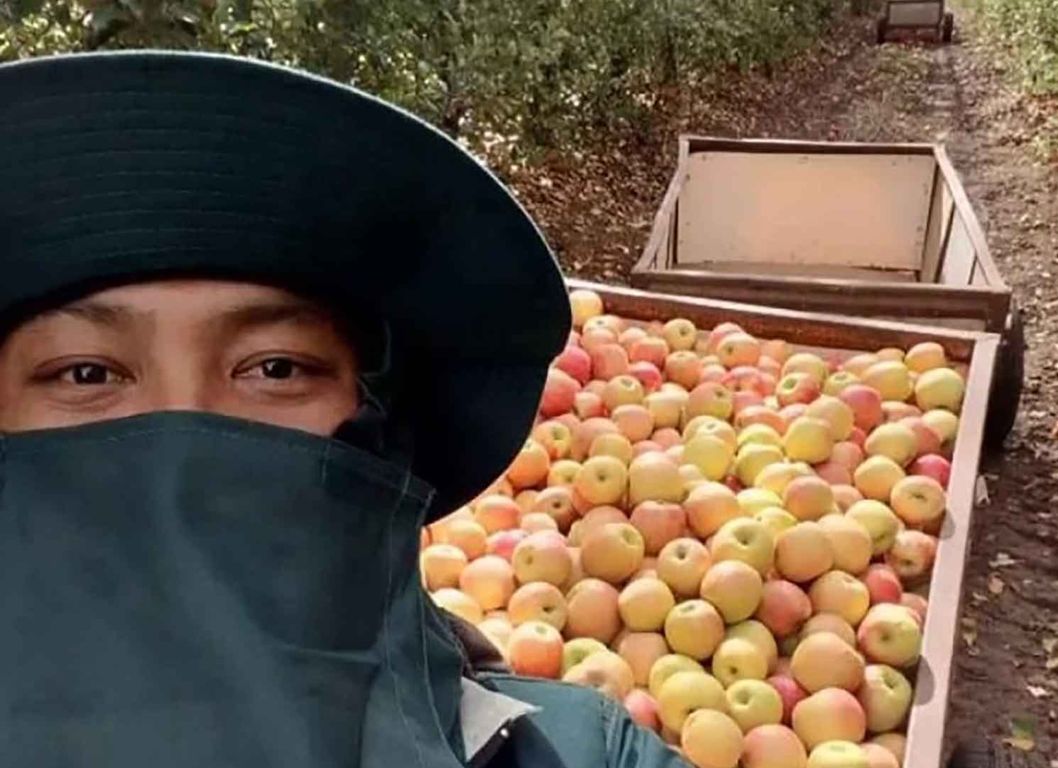 Тело тайского рабочего возвращают из Израиля