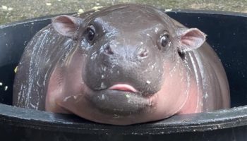 Толпы людей на длинных выходных выстраиваются в очередь к Му Денгу