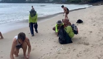 Тысячи мертвых рыб выбрасываются на берег в районе Патонга, вызывая тревогу у местных жителей