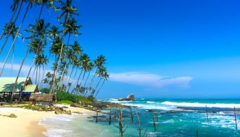 Шри-Ланка в 2024 году: значительный рост туризма после пандемии - Деловые новости Таиланда