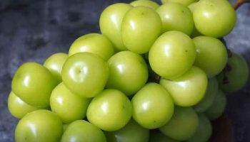 FDA Таиланда призвало принять меры в отношении зараженного винограда