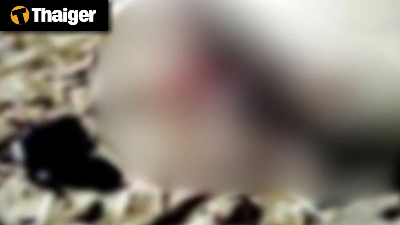 Видеоновости Таиланда | В таиландском монастыре возбуждено уголовное дело за использование 41 трупа для медитации, мотоциклетные такси устроили хаос на концерте в Паттайе