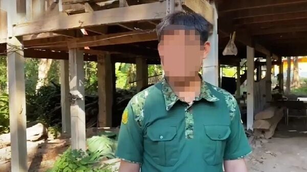 Вооруженная банда крадет палисандровые бревна, нападает на полицейских
