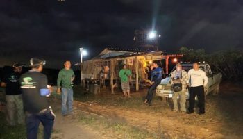 Дикие слоны совершают набеги на фермы Накхонратчасимы, вмешиваются чиновники