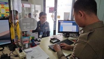 Кошачий хаос: чиновник на Джомтьене подвергся насилию в ходе ночной стычки