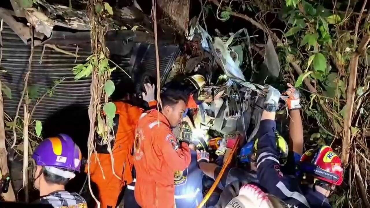 Крушение дерева: в Утайтхани в результате аварии пикапа погибли 4 человека