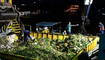 На водных путях Бангкока собрано 500 000 поплавков-кратонгов