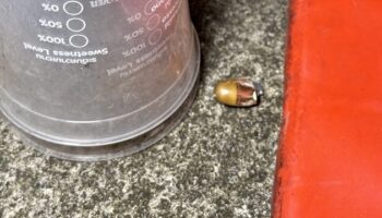 Нападение с применением огнестрельного оружия на мебельный магазин Phat Thalung повергло молодежь в ужас