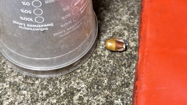 Нападение с применением огнестрельного оружия на мебельный магазин Phat Thalung повергло молодежь в ужас