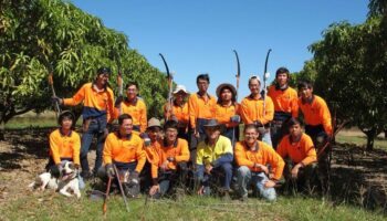 Острые ощущения от овец: мошенничество с фальшивыми рабочими местами на фермах нацелено на австралийских соискателей работы