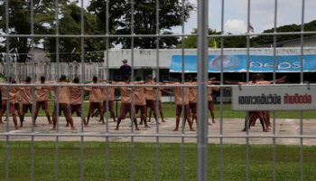 Правительственная инициатива использует личинок мух в качестве нового решения проблемы увеличения количества отходов в тюрьмах