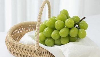 Управление по санитарному надзору за качеством пищевых продуктов и медикаментов Таиланда провело очистку 6,9-тонного винограда сорта Шайн Мускат в целях безопасности