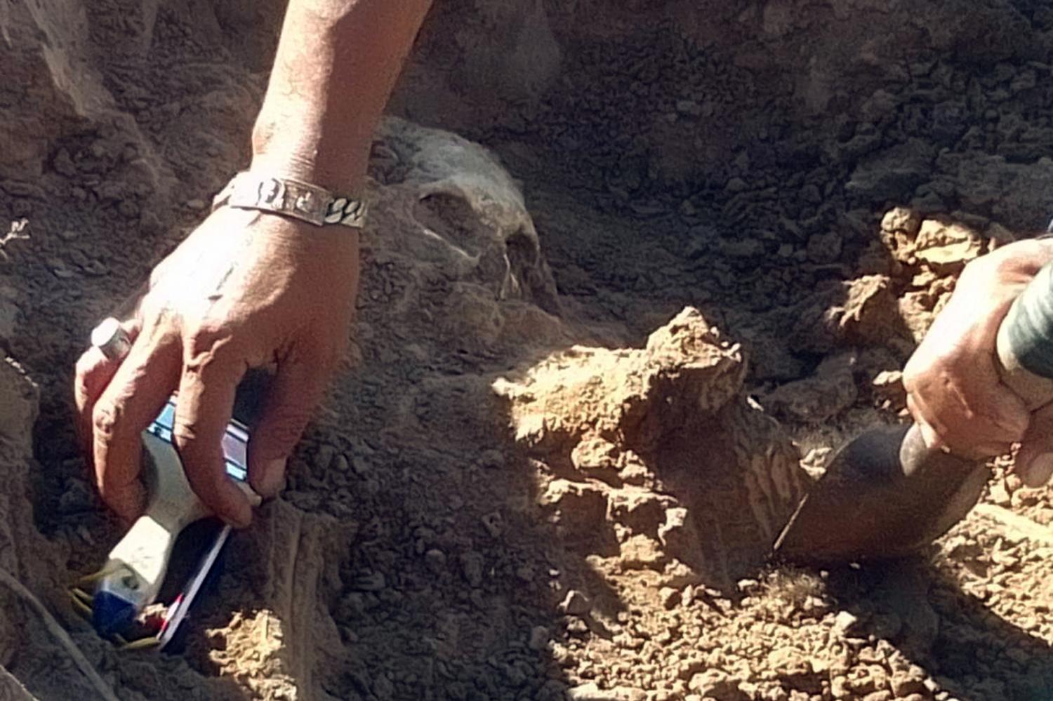 Археологи исследуют скелеты железного века, глиняную посуду