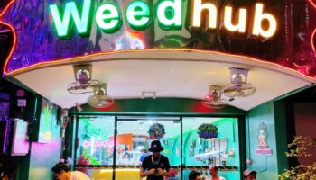 Бум производства каннабиса в Таиланде находится под угрозой в условиях правовой и политической неопределенности