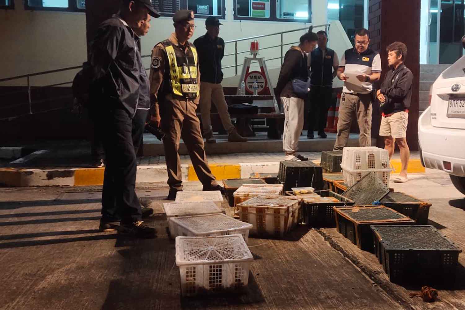 В Чумпхоне арестован контрабандист с 200 экзотическими индонезийскими животными