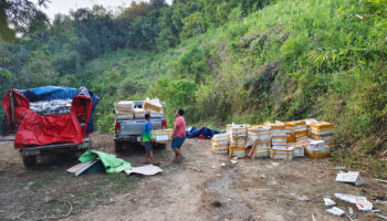 Двое мужчин арестованы, изъято более 4 тонн контрабандных морепродуктов