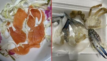 Дорогие морепродукты в Таиланде вызывают споры в Интернете