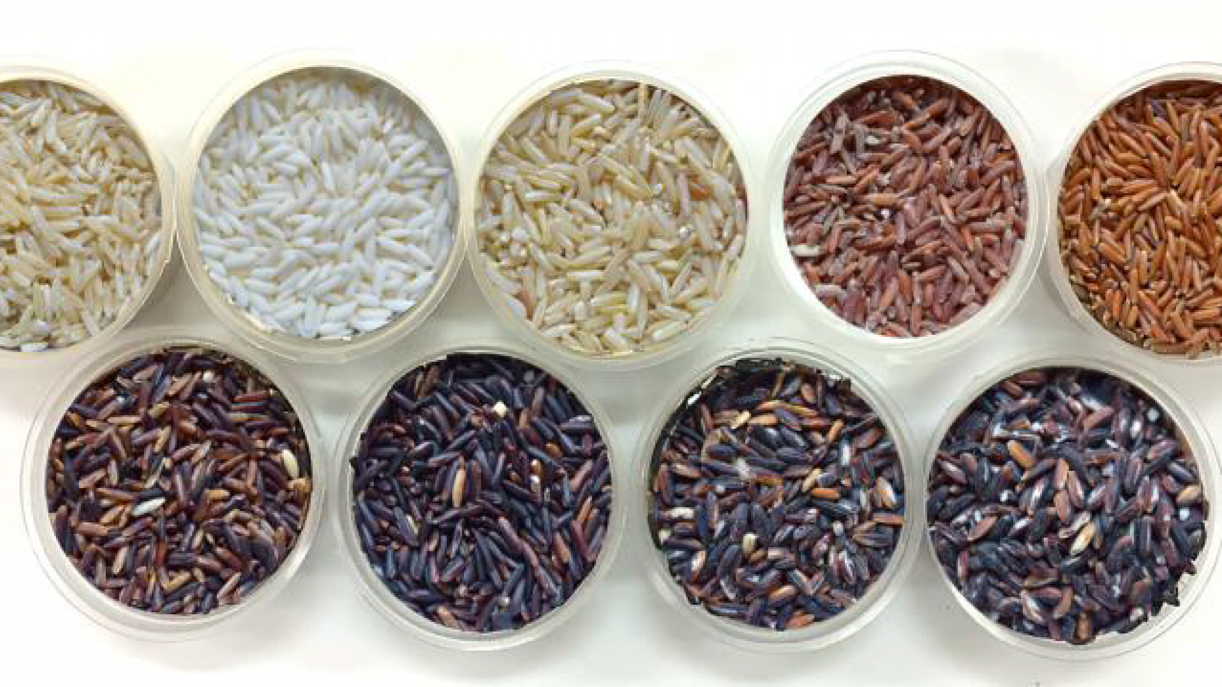 Зерно истины: Таиланд опережает Азию в гонке за урожайностью риса