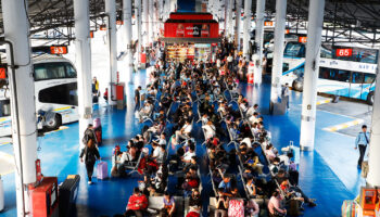 Кампании по обеспечению безопасности дорожного движения вступают в силу с Нового года