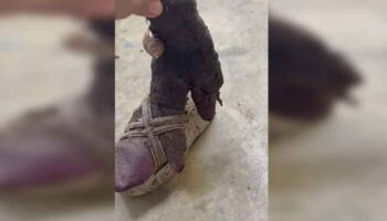 Канчанабури: "Мисс Большой фиолетовый сладкий картофель" выиграла в лотерею 200 тысяч долларов (видео)