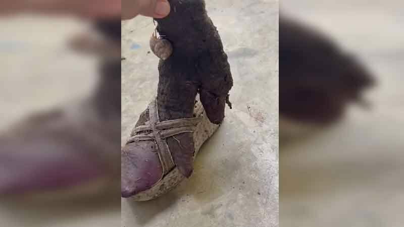 Канчанабури: "Мисс Большой фиолетовый сладкий картофель" выиграла в лотерею 200 тысяч долларов (видео)