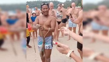 Кобра вызывает шипение на пляже Ката на Пхукете (видео)