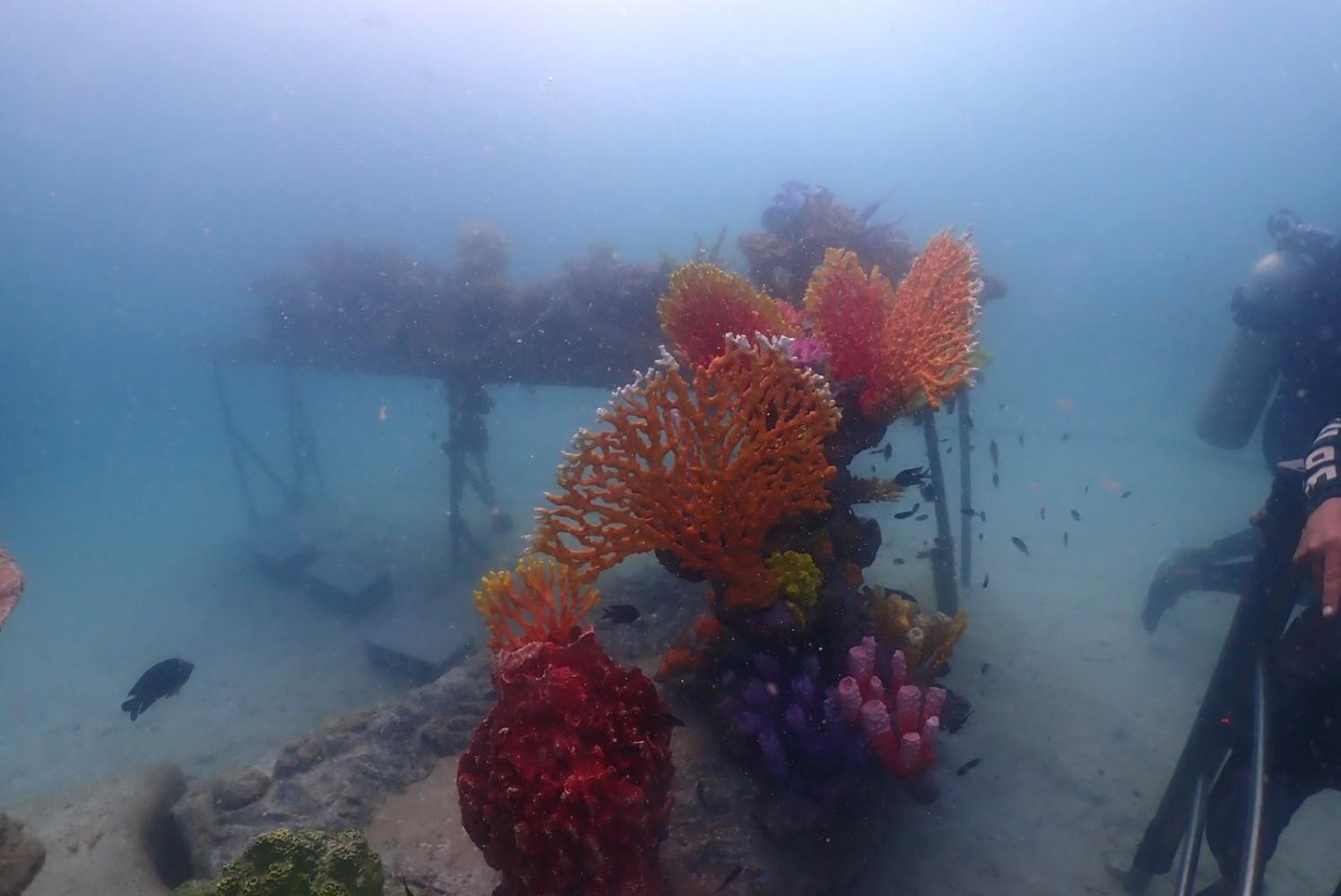 Морские пешеходные экскурсии по острову Лан совершайте осторожно