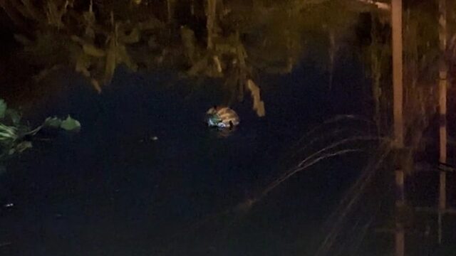 Мотоциклист упал в канал из-за сбоя GPS в Таиланде