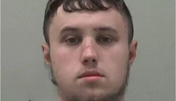 Мужчина из Польши осужден за контрабанду каннабиса в Великобританию на сумму 100 тысяч фунтов стерлингов