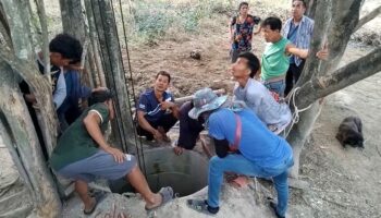 На волосок от гибели: буйвола спасли из глубокого колодца в Чонбури (видео)