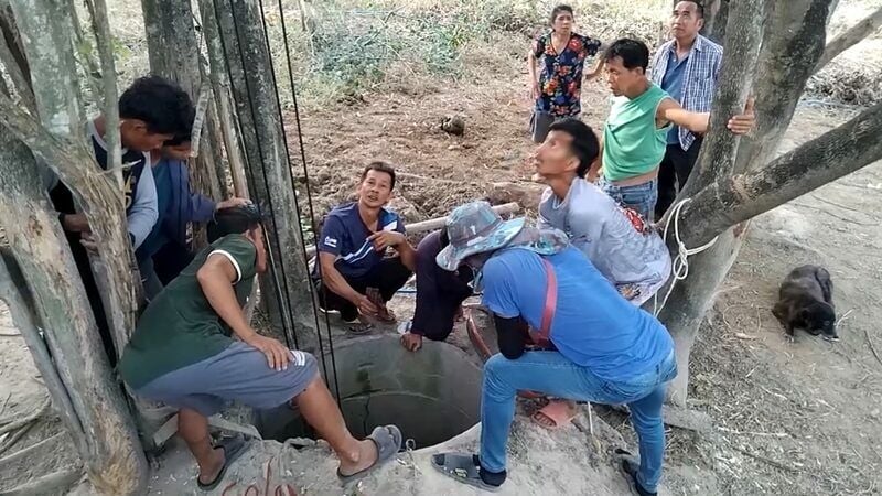 На волосок от гибели: буйвола спасли из глубокого колодца в Чонбури (видео)