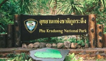 Национальный парк Фу Крадуенг закрывается после нападения слона